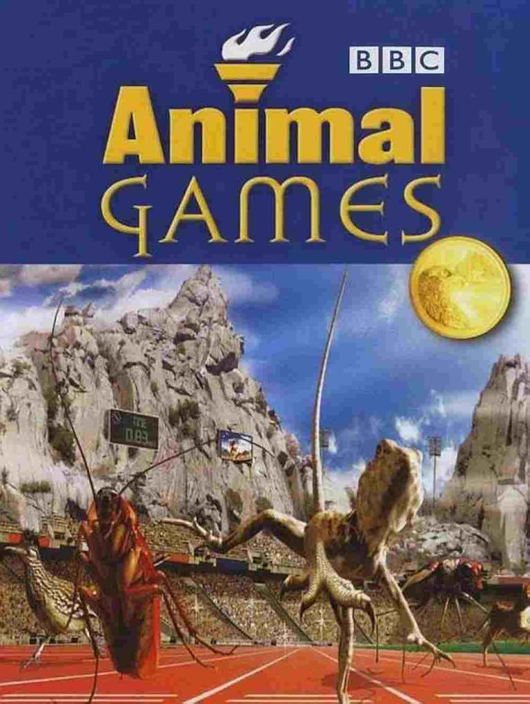 فیلم المپیک حیوانات 2004