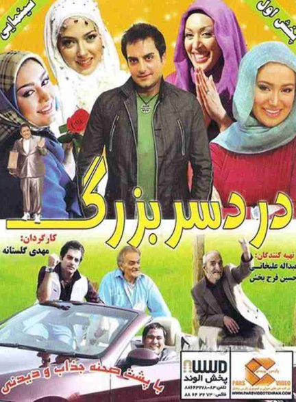 فیلم دردسر بزرگ 2010