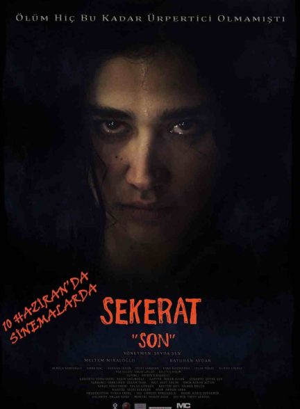 فیلم آخرین نقاشی 2016