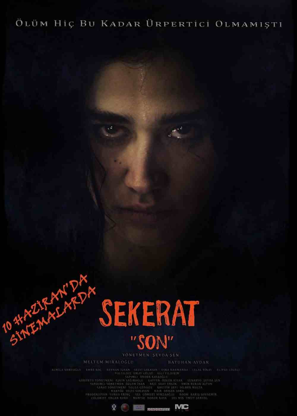 فیلم آخرین نقاشی 2016