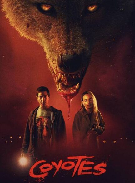 فیلم کایوت‌ ها 2025