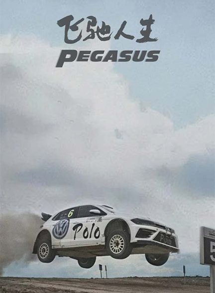فیلم اسب بالدار 1 – 2019