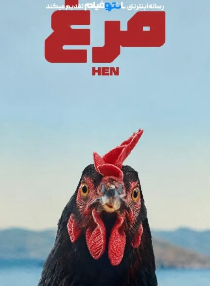 فیلم مرغ 2025